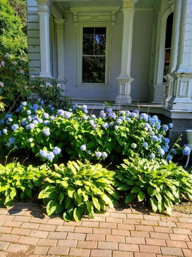Proctor Mansion Inn Wrentham Eksteriør bilde